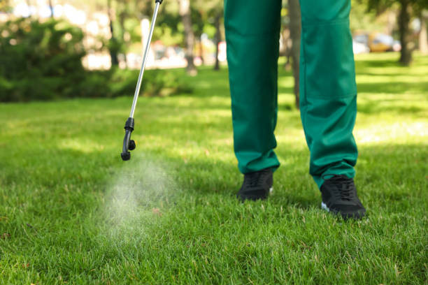 Reliable Constantine, MI Pest Control Solutions