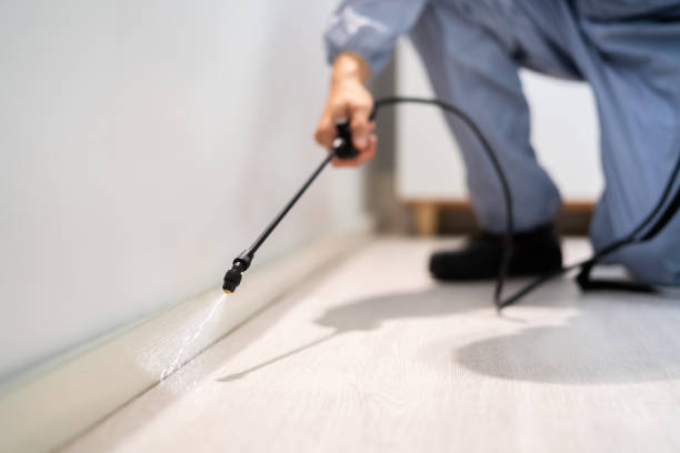 Best Pest Prevention Services  in Constantine, MI