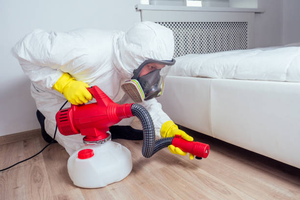 Best Termite Control Services  in Constantine, MI