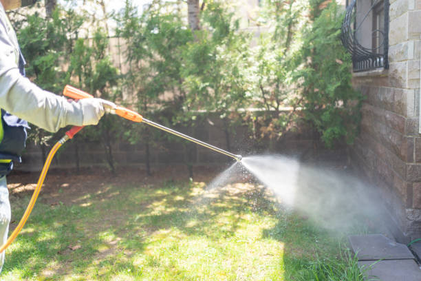 Best Best Pest Control Companies  in Constantine, MI