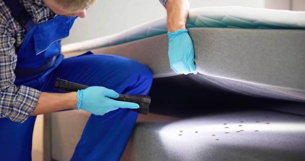 Best Mosquito Control Services  in Constantine, MI
