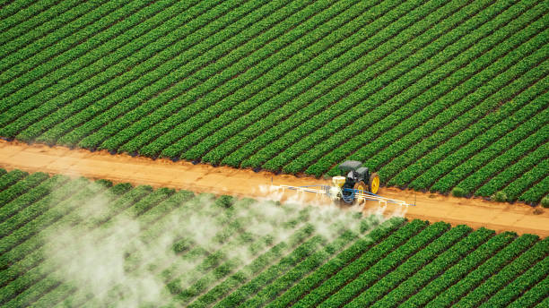 Best Pest Removal Services  in Constantine, MI