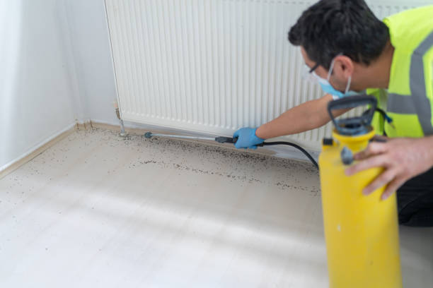 Best Flea Control Services  in Constantine, MI